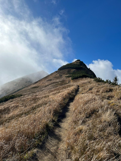 Úžasné přírodní obklady